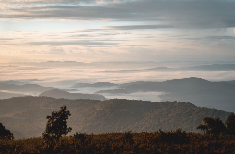 Hikes in Pisgah always reward you with incredible views, waterfalls, and stunning scenery like on the art loeb trail